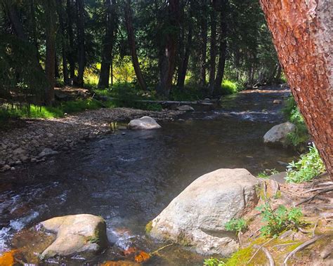 Fraser-River-Headwaters-02 – The Catch and The Hatch