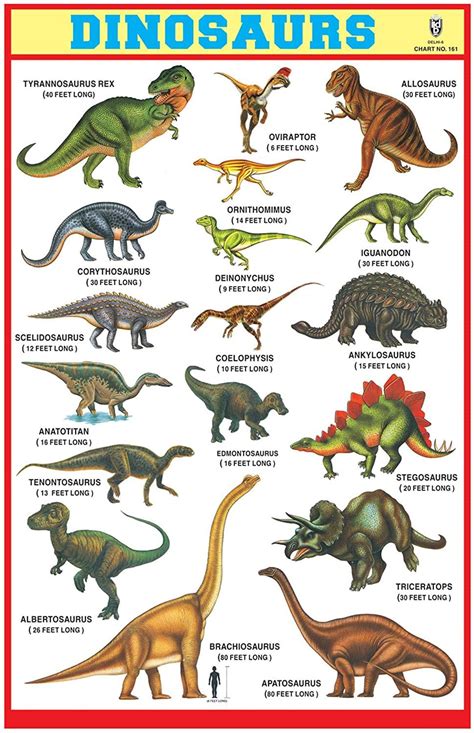 IBD Pre- Primary Educational Children Learning Dinosaurs Chart Pack Of 10 Pcs: Amazon.co.uk ...