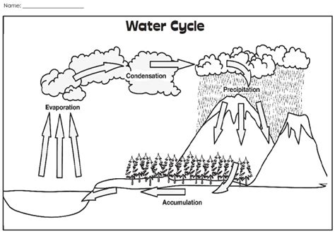 Water Cycle Worksheets for KS3 and KS4 | Teaching Resources ...