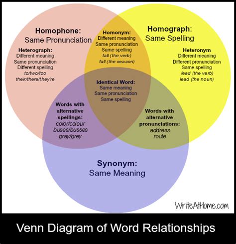 homograph-homonymy-homophones - concepts in semantics