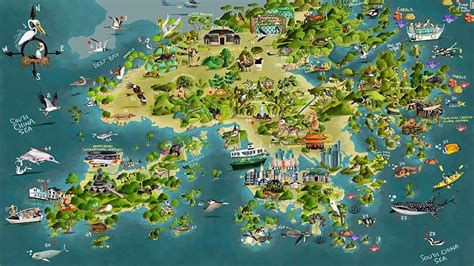 Colorful WWF map showcases Hong Kong's biodiversity | CNN Travel