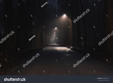 Lightened Forest Path Night Stock Photo 1882884121 | Shutterstock