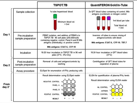 What is the difference between IGRA and QuantiFERON test? - Health Blog