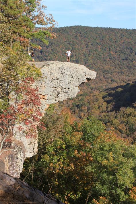 Hawksbill Crag (Whitaker Point) Trail (Ozark Forest) – 3 mi (o&b ...