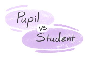 "Pupil'" vs. "Student" in English | LanGeek