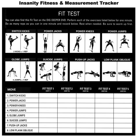 Insanity Fit Test | Complete Review & PDF Download