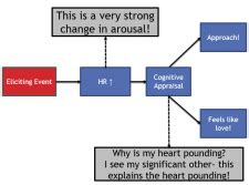 Schachter-Singer Two-Factor Theory – Psychology of Human Emotion: An Open Access Textbook