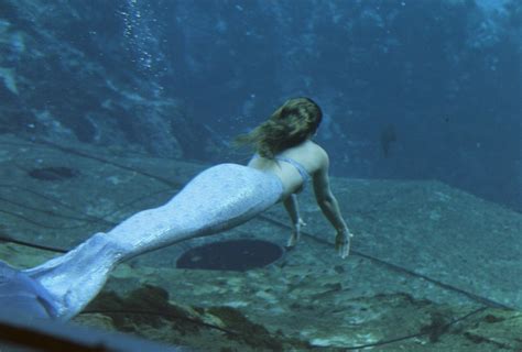 Are Mermaids Real? Cases of Mermaid Sightings