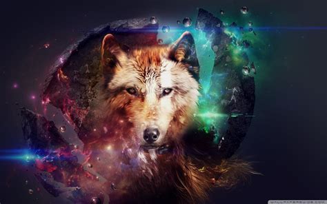 Wolf digital wallpaper, wolf, artwork, animals, digital art HD wallpaper | Wallpaper Flare