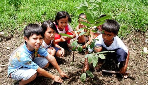 Filipinos Require To Plant Trees As Per Presidential Decree ~ PINOY FORMOSA