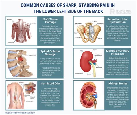 Sharp Stabbing Pain in the Lower Left Side of the Back - NJ's Top ...