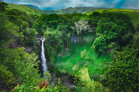 Road to Hana: Highway Map, Things to Do And Tips - The Planet D