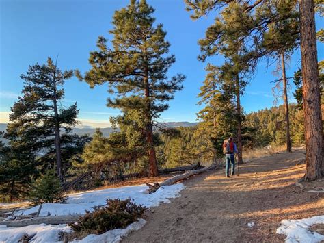 11 Amazing Hikes in Evergreen, CO You MUST Hike