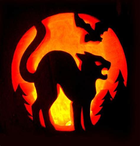 If you’re looking for some cat-themed jack-o-lantern ideas or you just want to admire some fine ...