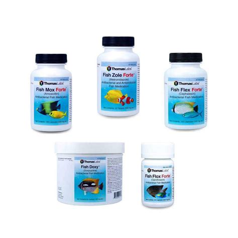 Fish Antibiotic Preparedness Package 5 - Be Prepared For Sick Fish ...