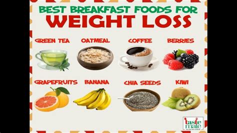 10 Healthy Breakfast Foods For Weight Loss | 10 Healthy Breakfast Foods That Help You Lose ...