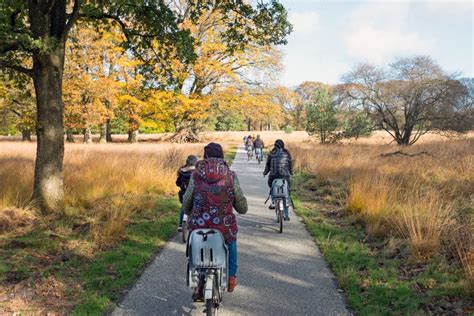 Biking in National Park De Hoge Veluwe in the Netherlands Editorial Image - Image of nature ...