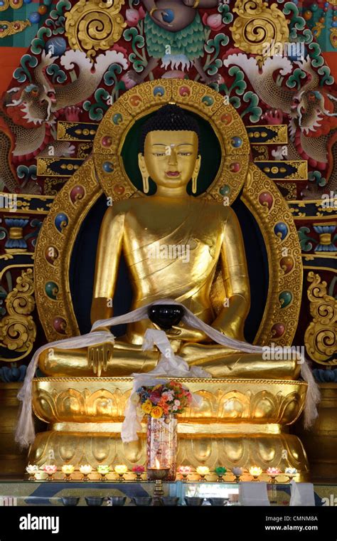 Golden Buddha statue at the Golden Buddha Temple in the Tibetan ...