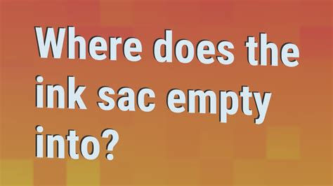 Where does the ink sac empty into? - YouTube