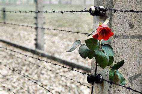 Giorno della Memoria 2019: cos'è, storia della liberazione di Auschwitz