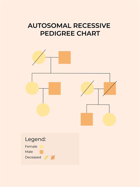 Autosomal Recessive Pedigree Chart in Illustrator, PDF - Download ...