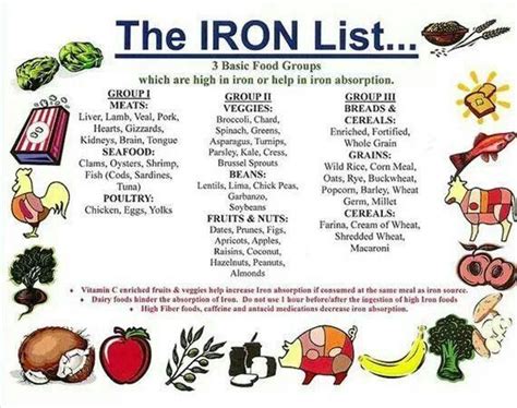 Anemia in Runners & Healthy Iron Rich Recipes - thefitfork.com