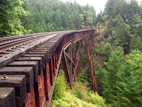 Train Track Or Train Bridge Or Trestle In The Forest Stock Image - Image of railroad, trestle ...