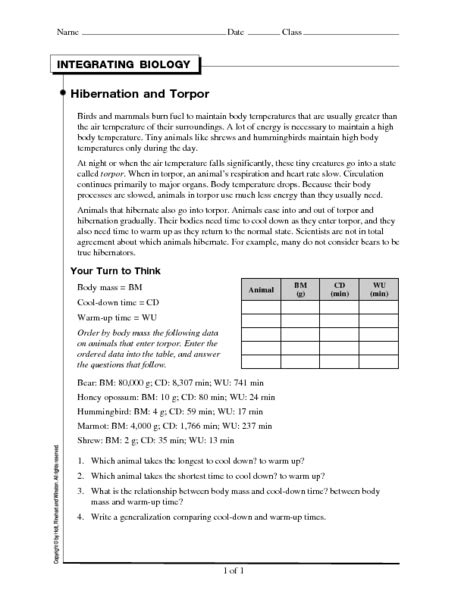 Hibernation and Torpor Worksheet for 7th - 10th Grade | Lesson Planet