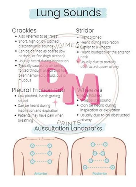 Nursing Lung Sounds Cheat Sheet - Etsy Canada | Nursing school studying cheat sheets, Medical ...