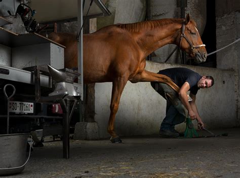 The Farrier - Environmental Portraits | Visual Education