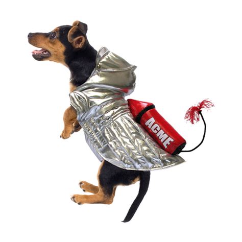 Rocket Space Dog Costume | BaxterBoo