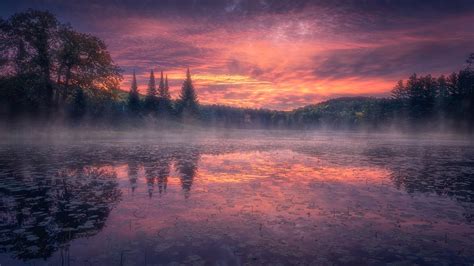 Lake Around Trees With Fog Under Purple Cloudy Sky During Sunset HD Nature Wallpapers | HD ...