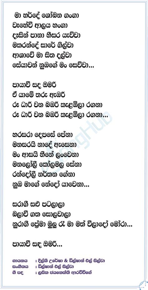 Roo Dhari Telidarama Song Punjabi Remix Song Sinhala Lyrics