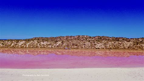 Pink Lake Hutt Lagoon - D'Guy Charters Kalbarri