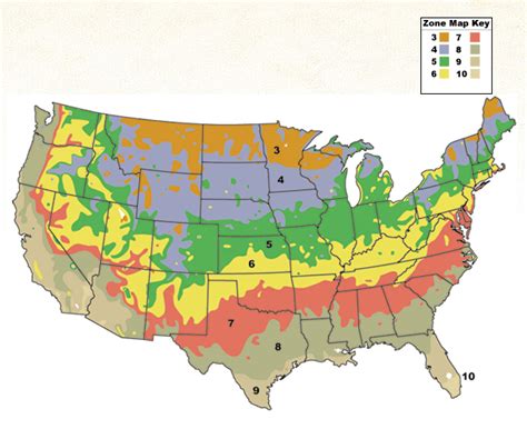 Hint of Citrus: Zone 9b - What is an agricultural zone?