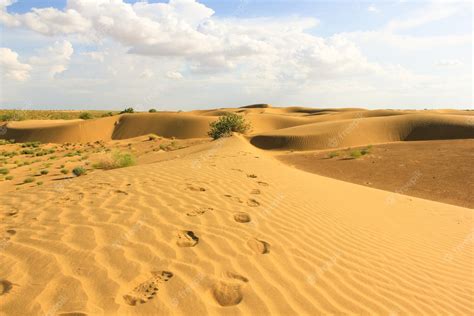 Premium Photo | Rajasthan desert