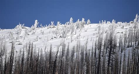 Sierra Nevada Snowpack: One of the Largest on Record - Water News ...