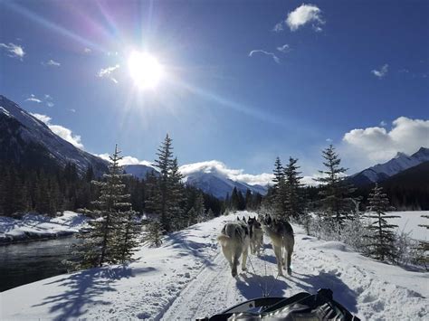 The BEST Ways to Experience Winter in Alberta (for 2025)