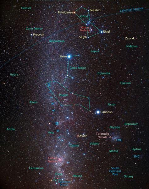 Southern Hemisphere Constellations | Orion nebula, Constellations, Celestial sphere