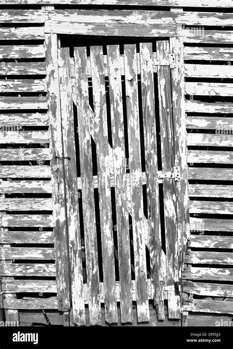old barn wood planks peeling white paint for graphic resources background template Stock Photo ...