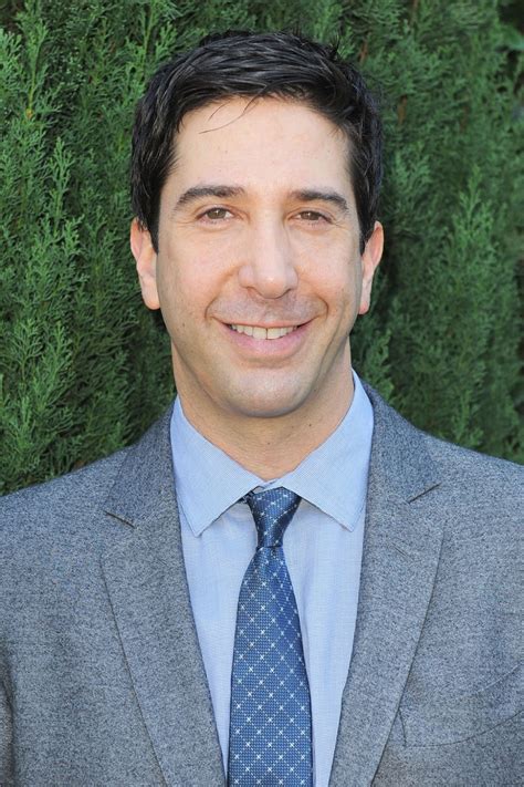 David Schwimmer Cast in U.K. Sitcom