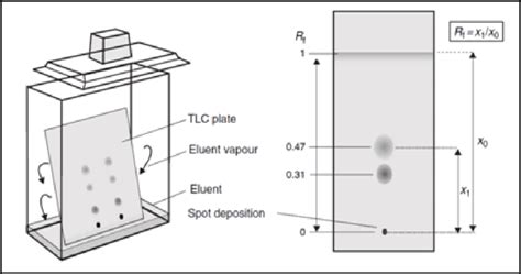 5.1. "TLC Plates in its Chamber and calculation of spots RF value ...