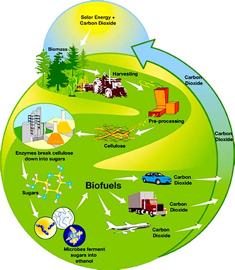 An Introduction to Bioenergy: Feedstocks, Processes, and Products – ATTRA – Sustainable Agriculture