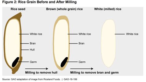 Arsenic in Rice | U.S. GAO