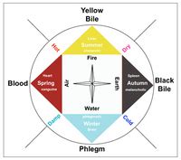 The Four Humours — Stanford Blood Center