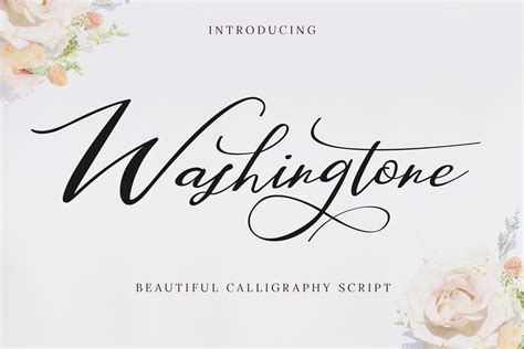 Washington Beautiful Calligraphy Script Font - Dafont Free