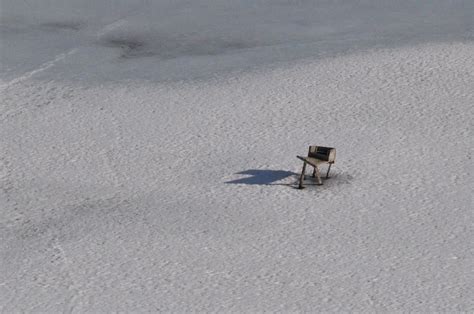 Columbia Wetlands: Canada Goose Nesting Platforms