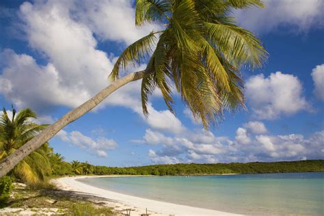 Beaches of Vieques Puerto Rico Travel Guide