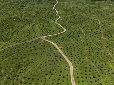 Edward Burtynsky: Anthropocene - Main Gallery - Exhibitions - Howard ...