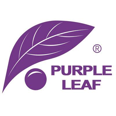 Purple Leaf - Wayfair Canada